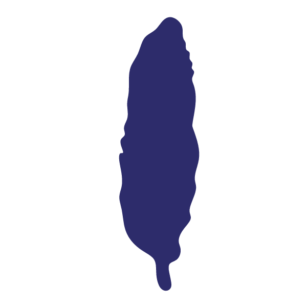 Die Cut Shape: Feather #1 Large
