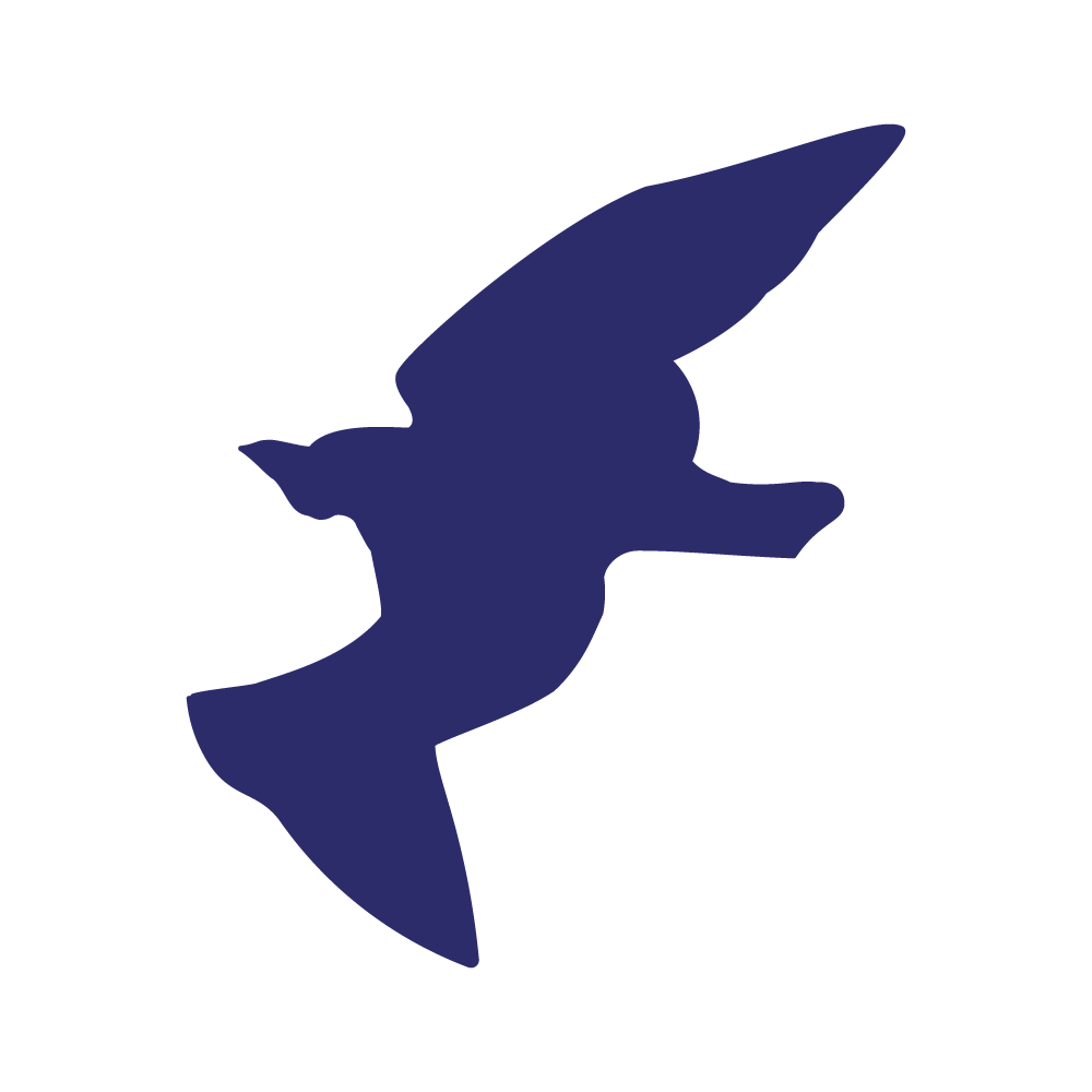 Die Cut Shape: Black Bird