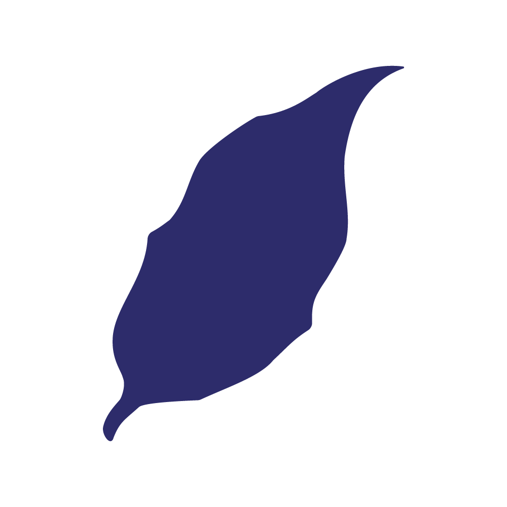 Die Cut Shape: Acute Leaf