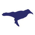 Die Cut Shape: Raven