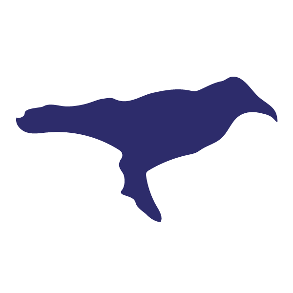 Die Cut Shape: Raven
