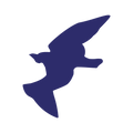 Die Cut Shape: Black Bird