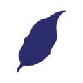 Die Cut Shape: Acute Leaf
