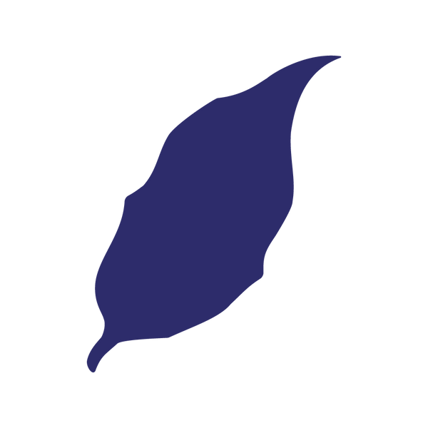 Die Cut Shape: Acute Leaf