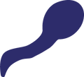 Die Cut Shape: Swimmer