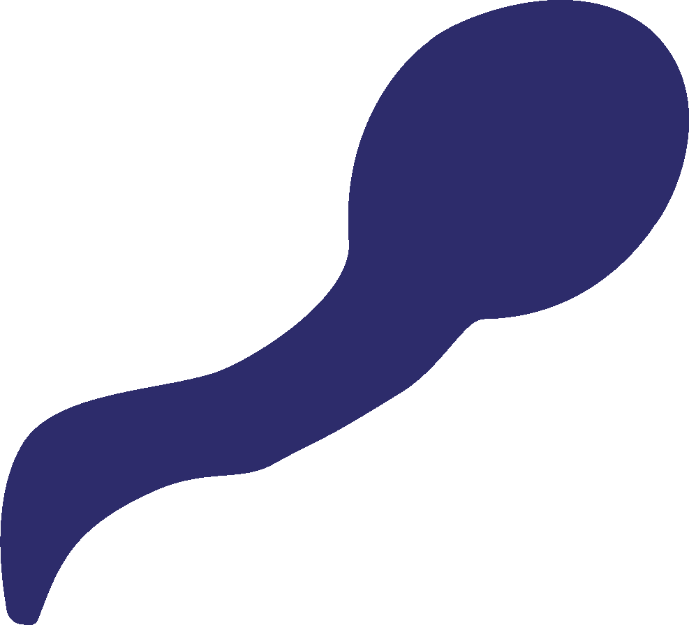 Die Cut Shape: Swimmer