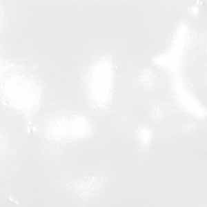 Clear PVC WEB confetti swatch